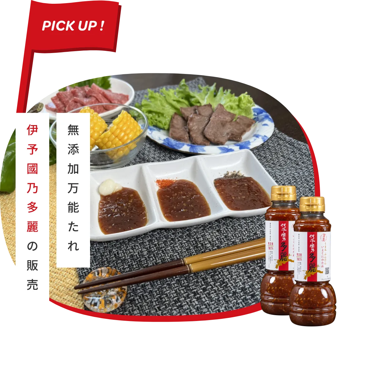 PICK UP 無添加万能たれ 伊予國乃多麗の販売